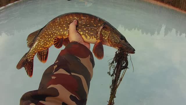 Зимняя  рыбалка-закрытие сезона