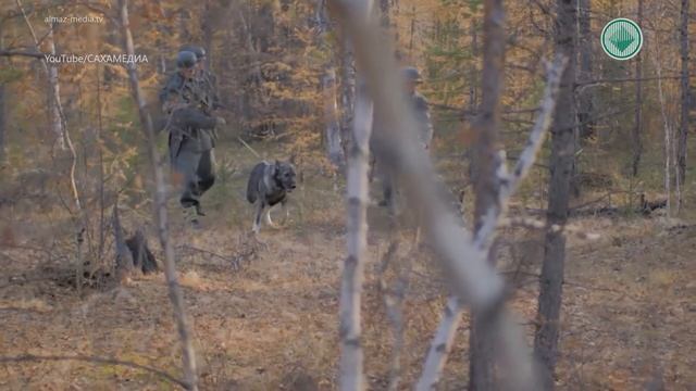 «Рядовой Чээрин». Историю о якутском солдате покажут в кинотеатрах республики смотреть онлайн