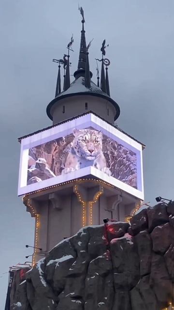 Снежный барс на башне Московского зоопарка смотреть онлайн