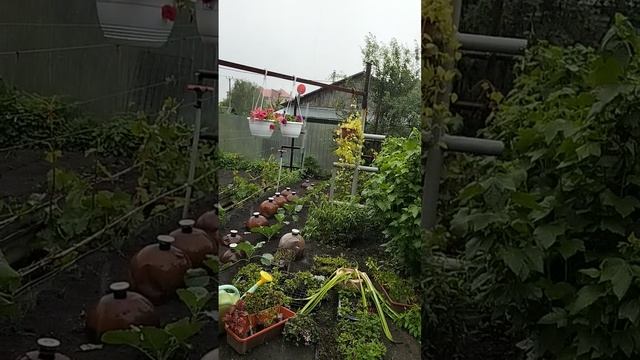 домашние дела