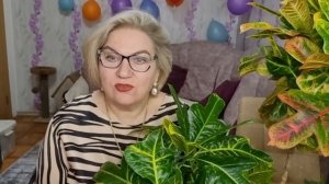 Красивые ляжки Фуфика