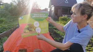 Как притеняю высаженные овощи. Посадка петунии в горш?