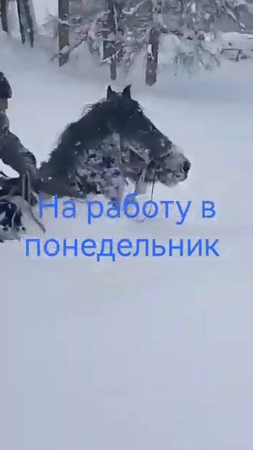 Если в пути на работу застала метель — есть один спосо смотреть онлайн