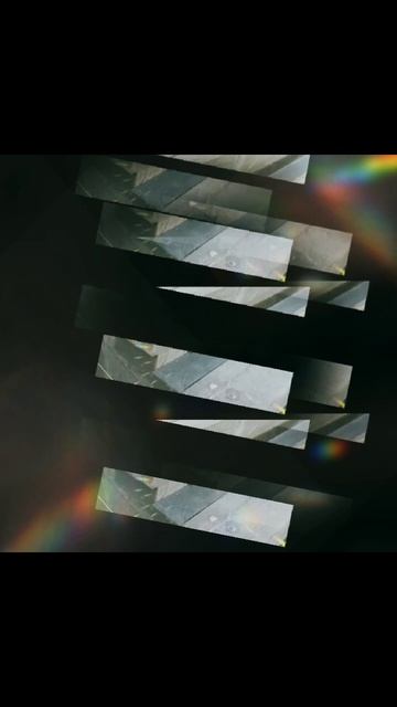 The dog tests the porch after the renovation(Собака тестирует лапами крыл? смотреть онлайн