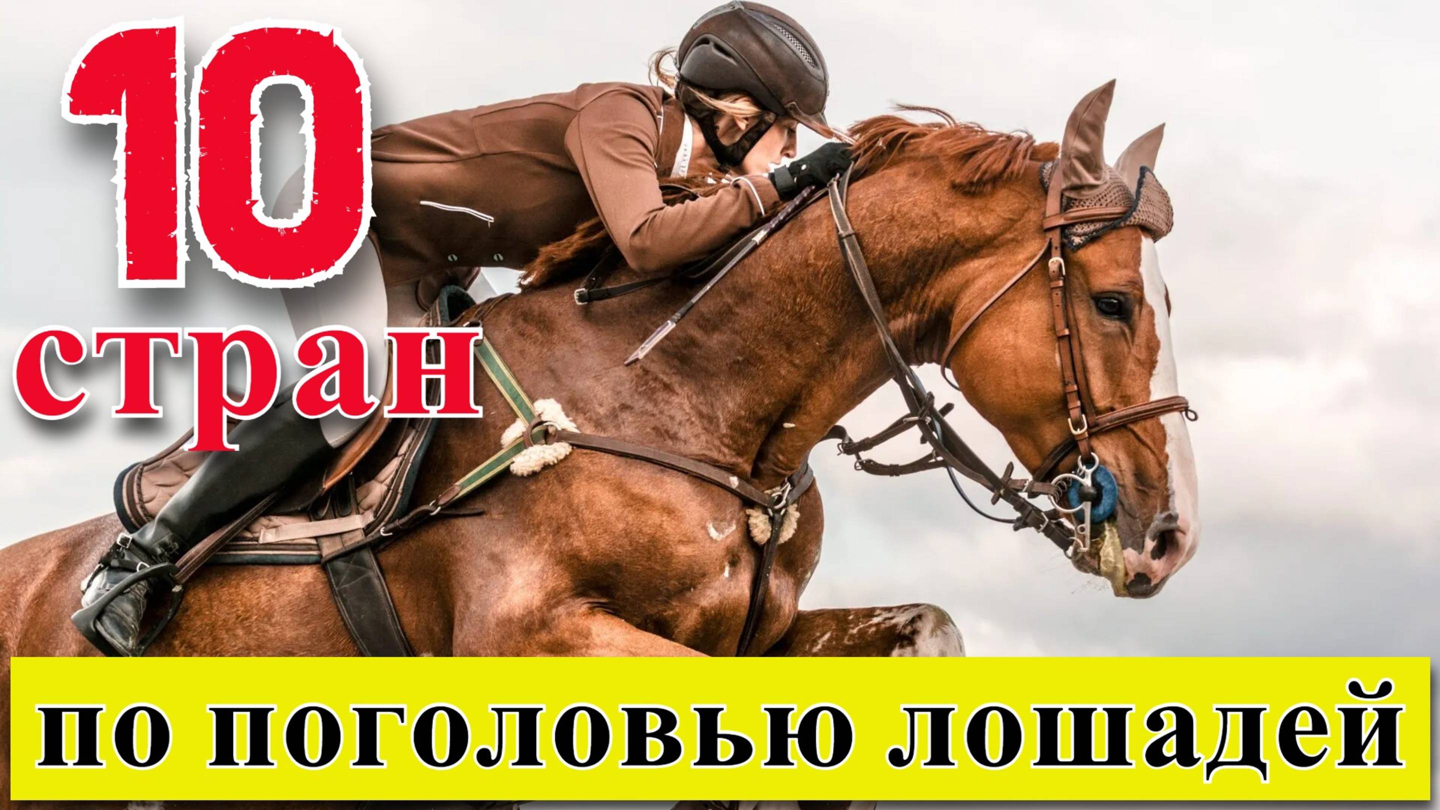 ЛОШАДИ: ТОП 10 стран мира по поголовью лошадей смотреть онлайн