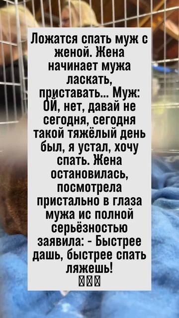 Как быстрее лечь спать? У жены есть ответ! 😂 #семья #юм? смотреть онлайн