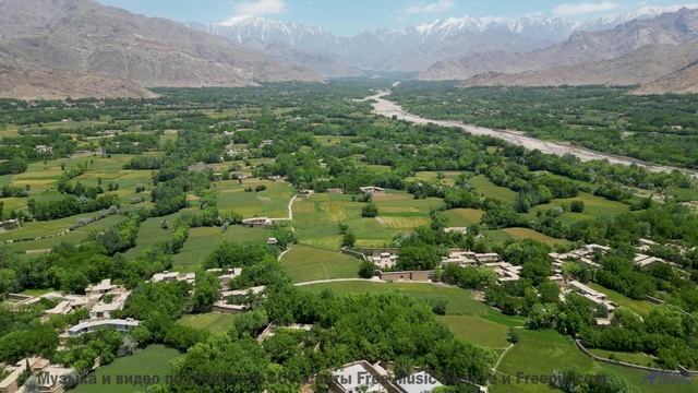 Когда музыка и природа создают идеальный момент! - Rock For The New Millenium -- New Millennium Stri