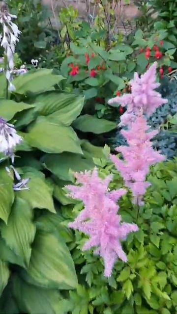 Фильм 742 Розовые пушистики смотреть онлайн