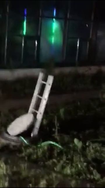 Аптекарский Огород. Ночной концерт а оранжерее. Продо? смотреть онлайн