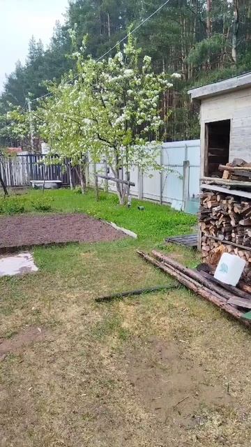 Природа после дождя смотреть онлайн