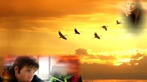 ЖУРАВЛИ👍(С.Одинцов)👍👍👍