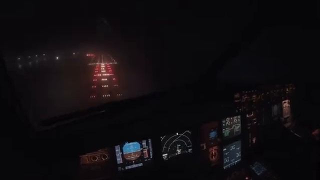 ПОСАДКА В ТУМАН ИЗ КАБИНЫ | AIRBUS-321 | CAT II APPROACH AUTOLAND | ДОМОД