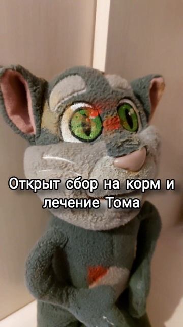 Вот это находка! Говорящий Том просит помощи у бывшего смотреть онлайн