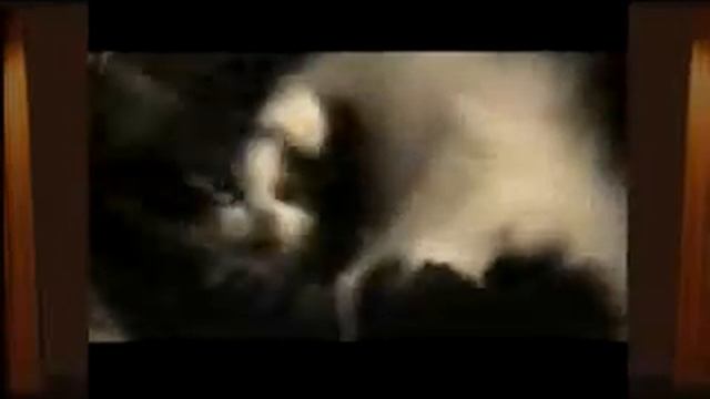 Котята на просмотре фильма. Cats on viewing of film смотреть онлайн