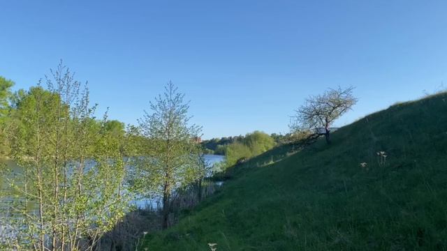 природа смотреть онлайн