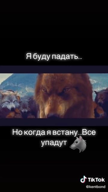 Волк VS Медведь.Новая видео 2020 год смотреть онлайн