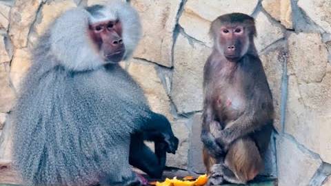 Люська В ШОКЕ! Лида оказалась намного ХИТРЕЕ смотреть онлайн