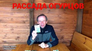 РАССАДА ОГУРЦОВ. Какие сорта и как сажать.