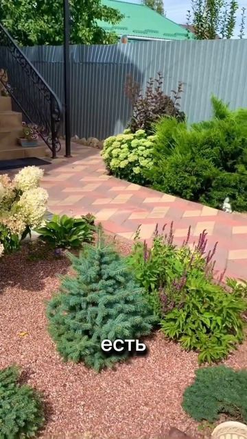 Три главных преимущества гортензий #shorts #ландшафтныйд смотреть онлайн