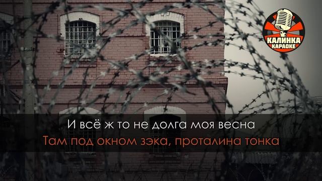 Михаил Круг Владимирский централ Караоке смотреть онлайн