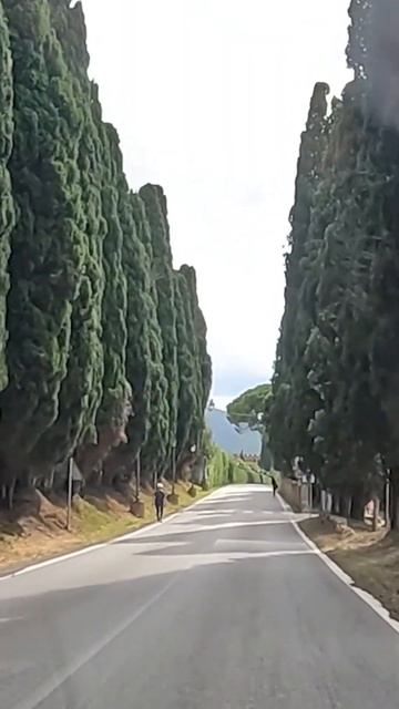 Знаменитая кипарисовая аллея в Тоскане - Дорога на Бол смотреть онлайн