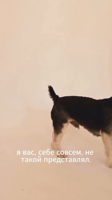 Подписывайся💕 новые анекдоты🤪каждый день😂 Сайт зн смотреть онлайн