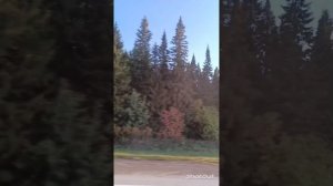 ПЕРМСКИЙ КРАЙ. РАННЕЕ УТРО