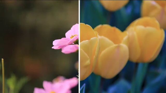 Хайрли кун 🌹🌹Good afternoon 🌺🌺Добрый день 🌻🌻 смотреть онлайн