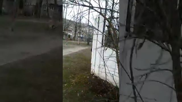 5 способов подшутить над другом после школы смотреть онлайн