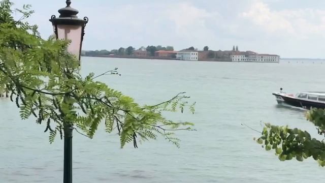Биеннале в Венеции 2019 | La Biennale di Venezia 2019. Фрагменты экспозиции | Part of exposition смотреть онлайн