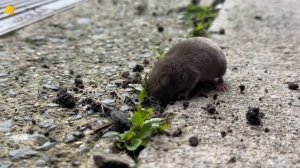 Все версии происхождения человека: откуда мы взялись?