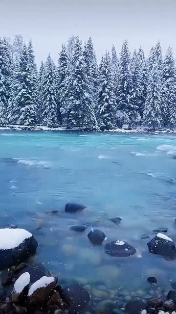 Лазурная зимняя река среди снежного леса ❄️☃️краси? смотреть онлайн