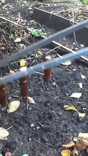 Лайфхак по очистке шампуров после жарки шашлыка смотреть онлайн