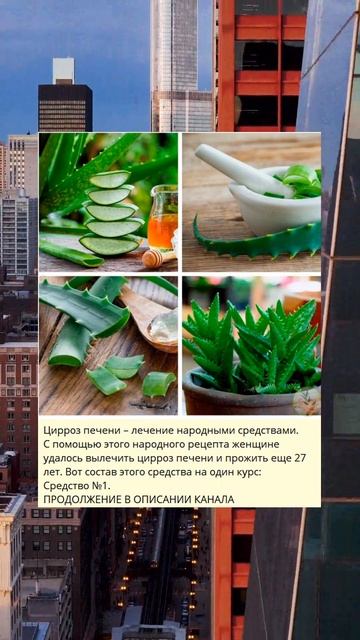 m Цирроз печени – лечение народными средствами. смотреть онлайн
