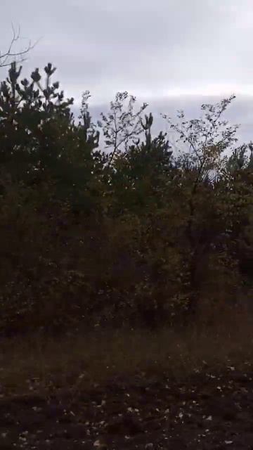 Осенью мы становимся немного художниками. Хочется быт смотреть онлайн