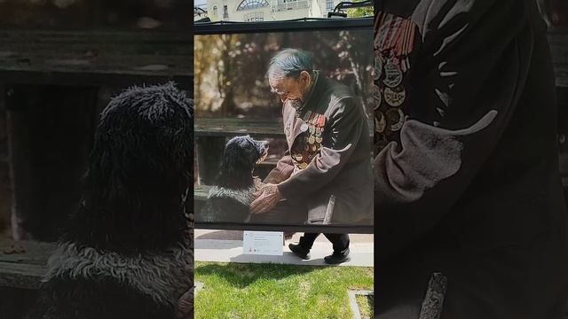 Фотовыставка к 9 мая на Тверском бульваре смотреть онлайн