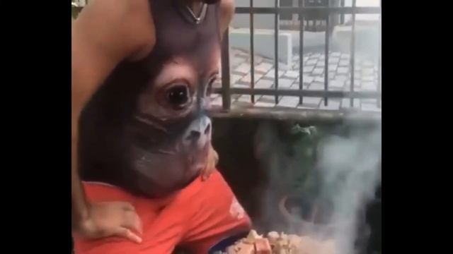 30 МИНУТ СМЕХА ДО СЛЁЗ ЛУЧШИЕ ПРИКОЛЫ ЧУДИКИ ИЗ СОЦСЕТЕЙ ржака топ 10 ЧУДИКИ ИЗ ИНСТАГРАММА смотреть онлайн