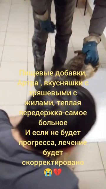 Ляля не может ходить 😭😭😭отказали ноги смотреть онлайн