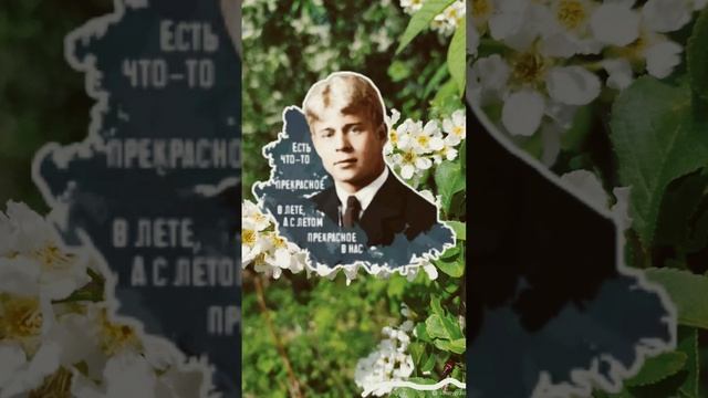 Спит ковыль Г Сукачев смотреть онлайн