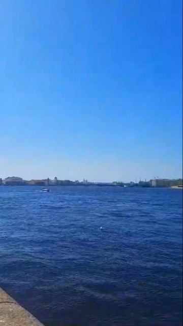 Есть место в Санкт-Петербурге смотреть онлайн