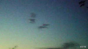 Нарезка вечерних выстрелов на болоте \ Шоткам #6