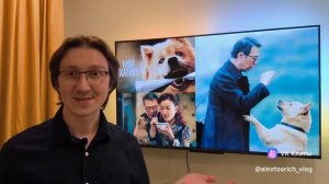 ПОЧЕМУ у этого фильма очень высокий зрительский рейтинг? "Мой Хатико" / Zhong quan ba gong (2023)