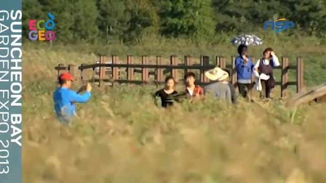 [NSP TV] 'Международная выставка садов-2013'(4) смотреть онлайн