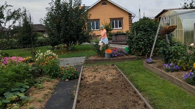 Сбор и заготовка перца. Посадка нового урожая зелени. ? смотреть онлайн