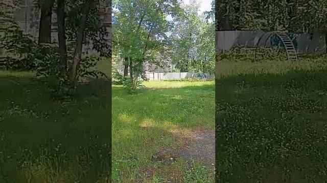 Заусенец Архимеда выпуск 8, Узник Герберы поместья Дем смотреть онлайн