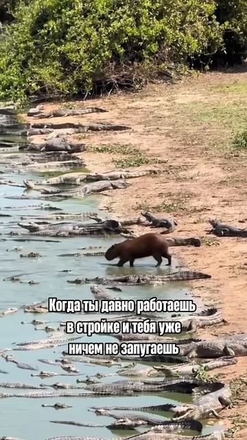 9 апреля 2025 г. смотреть онлайн