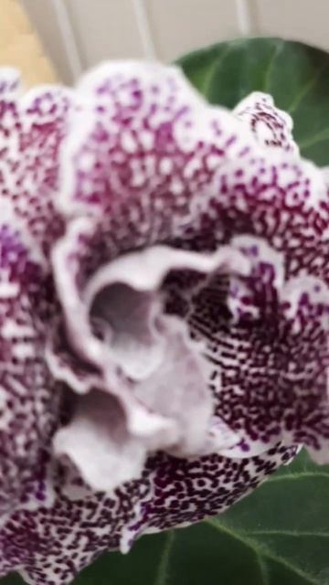 6 апреля 2023 г. смотреть онлайн