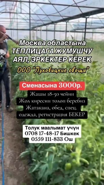 Работа в теплице смотреть онлайн