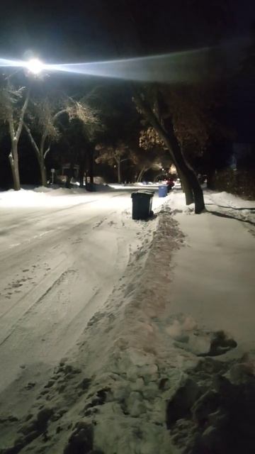 🇨🇦 вывоз мусора #shorts #story #reels #cuaet #канада #манитоба #cana