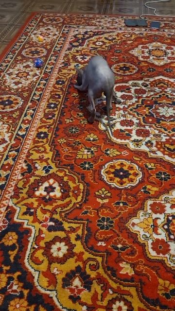 25 сентября 2023 г. смотреть онлайн